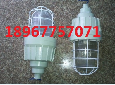 S150W 220V EXDIICT4 IP65