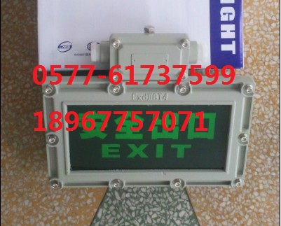 ȫڟBAYD81-B10 IICT4 IP65 WF1