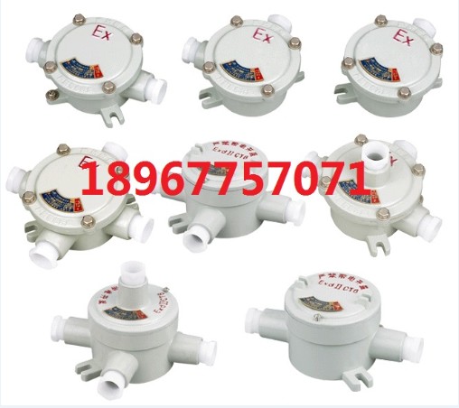 Ӿ BHD51-G20C ExdIICT6 IP65