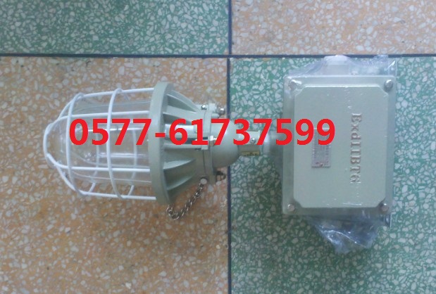 ܑBAD51-L100 220V 100W