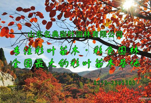 ȱĵa^