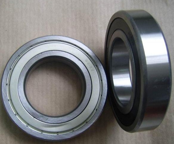 FAG 6021S