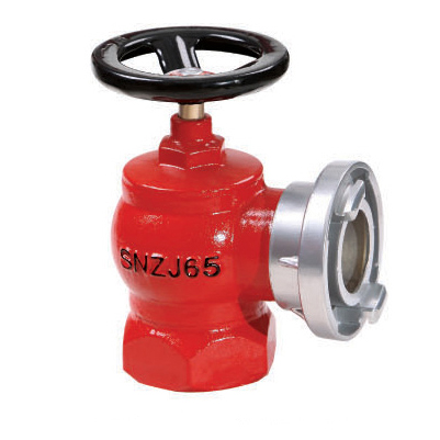 SNZJ65Dp҃˨