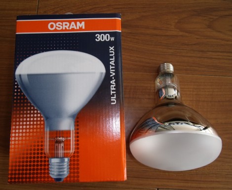 OSRAM⾀uULTRA-VITALUXϺ;C