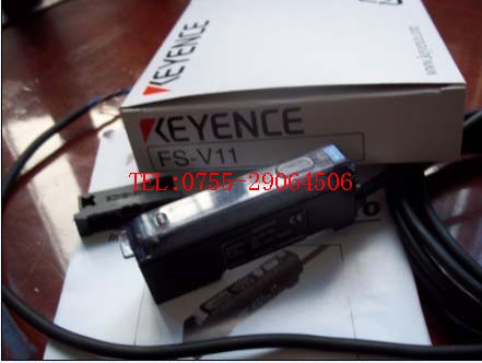 FS-V11 FS-V11PձʿwŴ