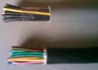 ̖| PVV PYV PVV22 PYV22䓎zb̖|