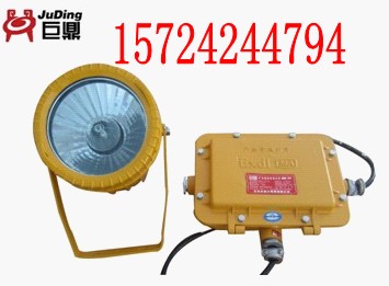DGS70/127BVͶ,70WͶ,DGSͶ  úV