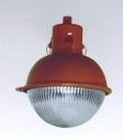 BCS3101픟GCD5012ZGF6PU