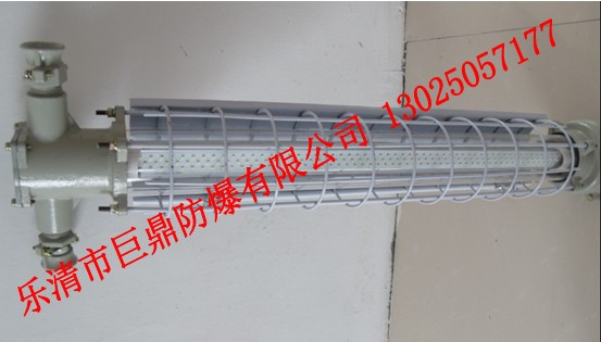 127VV÷,15WDGS12/127L