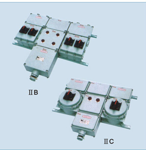 BXX51ϵзz(IIBIIC)