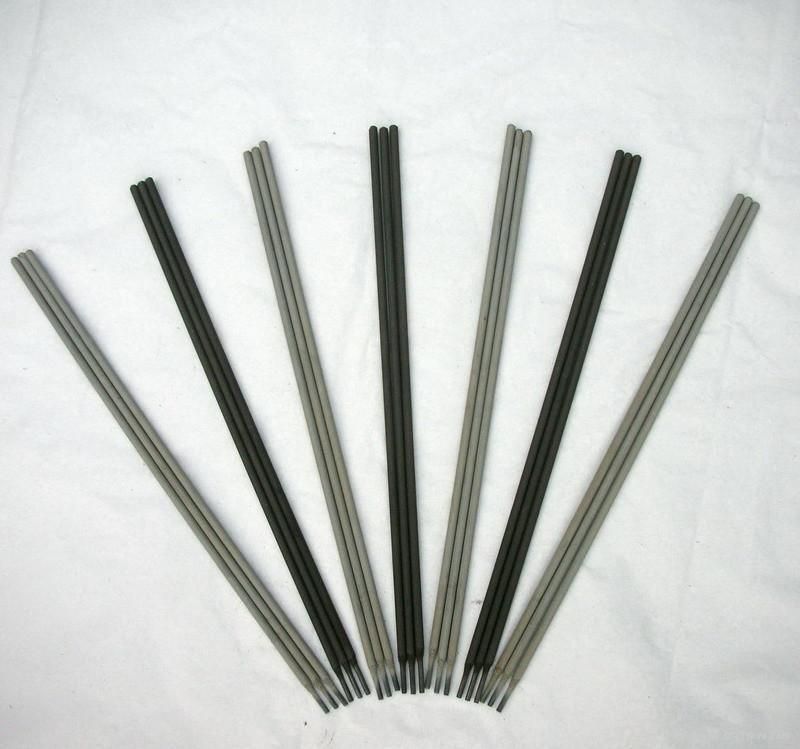 CHA307P䓺l