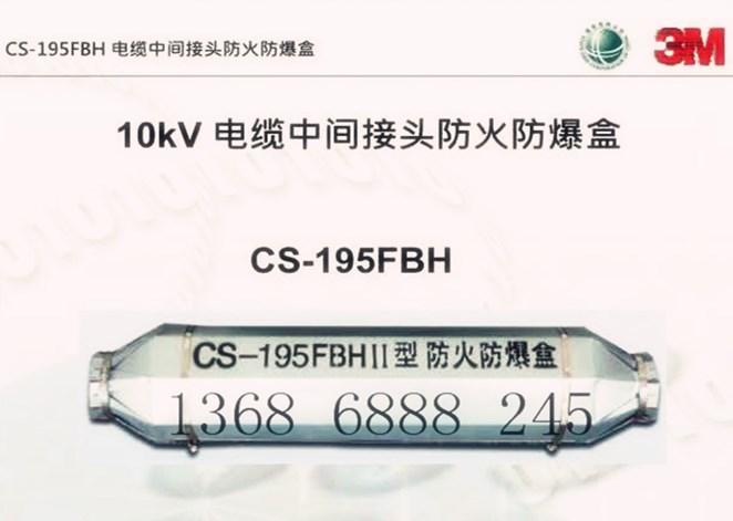 CS-195FBHII 1*500 3M 늾W|
