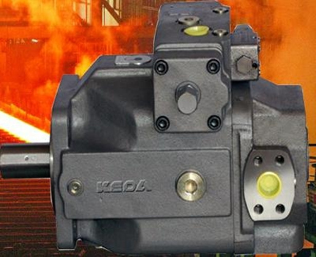 dT6EDC-050-024-020-1R00-C100