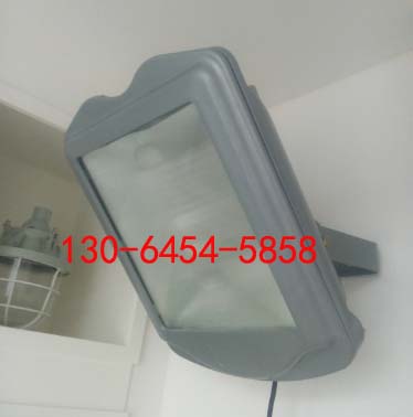 ѣⷺCYGF890-J250W IP65