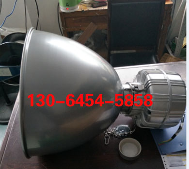 Ч픟NGC9810 NGC9810 ܇gß