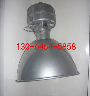 LB4001ѣͶ -N400W