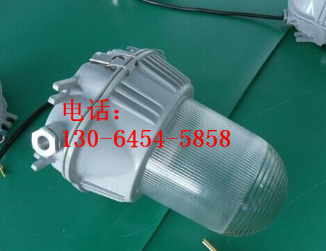 SNFP088