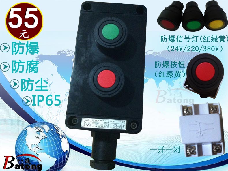 IP65BZA8050-A2D1