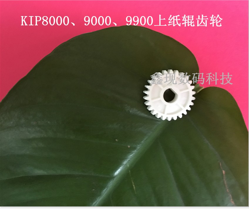 kip8/9/9900̏ӡC{DC݁X݆aֱNN
