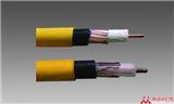 SNMHYV 4X2X0.5VͨӍ|gܣ