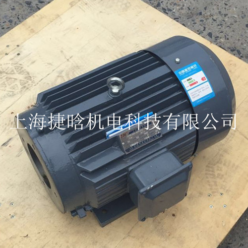 Sֱʽͱ늙C YYB-100L1-4-2.2KW