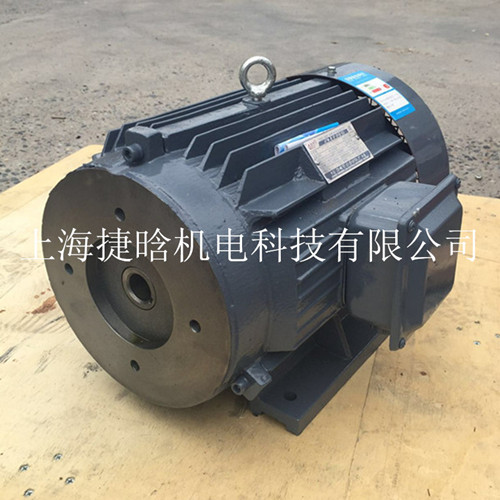 YYB-100L2-4-3KWҺÌֱʽ늙C