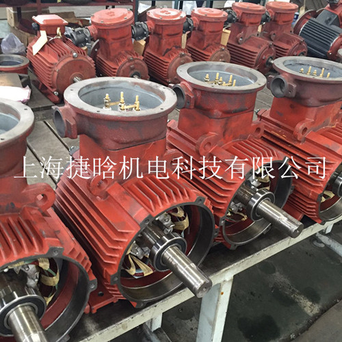 Ϻ늙C ExdII BT4 1.1KW-2O ஐ늄әC