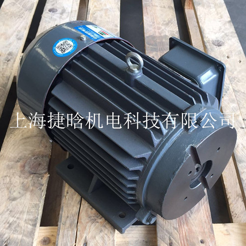 YYB-100L2-4Һ늙C