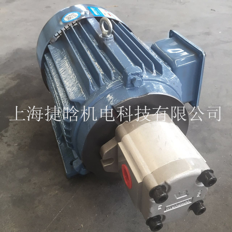 YE2B-100L2-4ֱʽ3KWҺ늙C