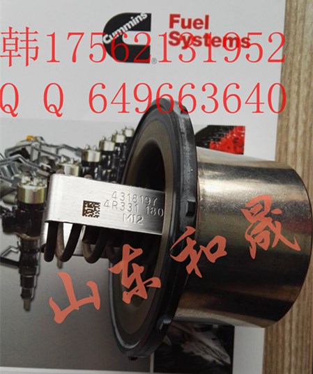 bdC˹X154318197/4973373