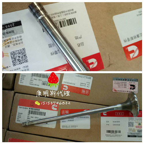 V܇˹4965868MTQSX15[USA]δa