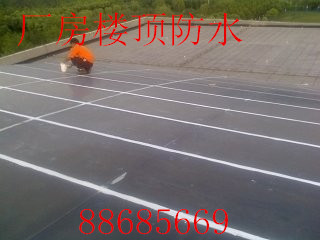d^__픷ˮa©
