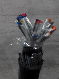 KVVPL  |  