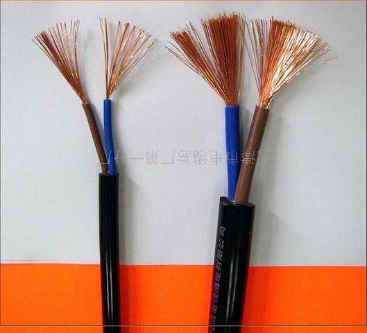 ZRKVVP2-22 |   늉450/750V