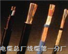 ҕl| SYV-50-12 SֱN
