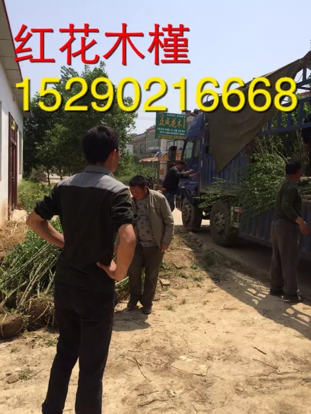 3ľȃr  5ּtľľr 5ޱl