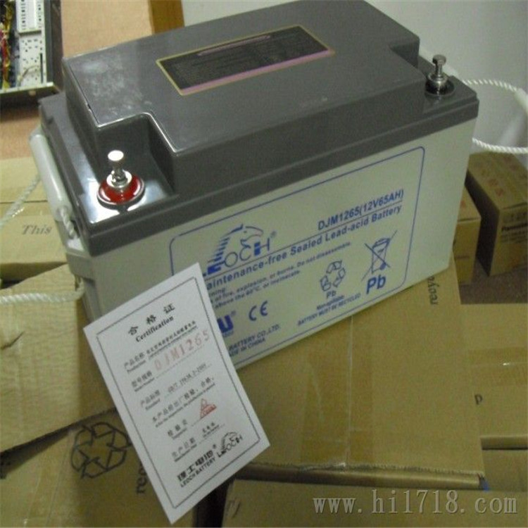 ʿ늳2V2000AH ʿDJ2000 2Vֱ늳