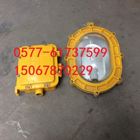bBFC8120-J100 1*100WS
