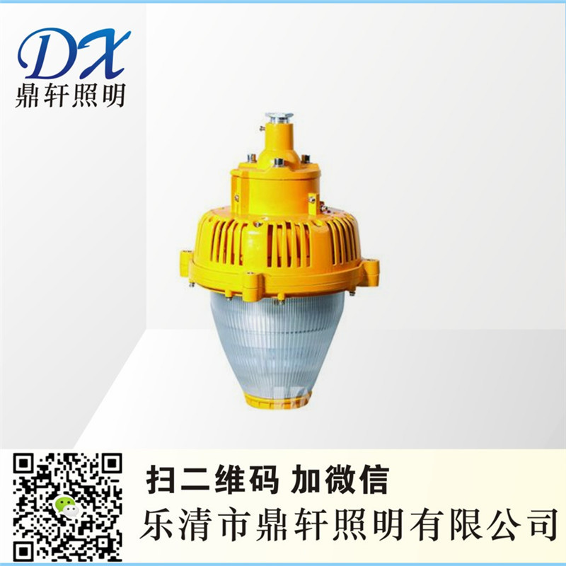 BD19SoLED BD19-40W
