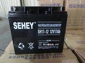 SEHEYSH40-12늳