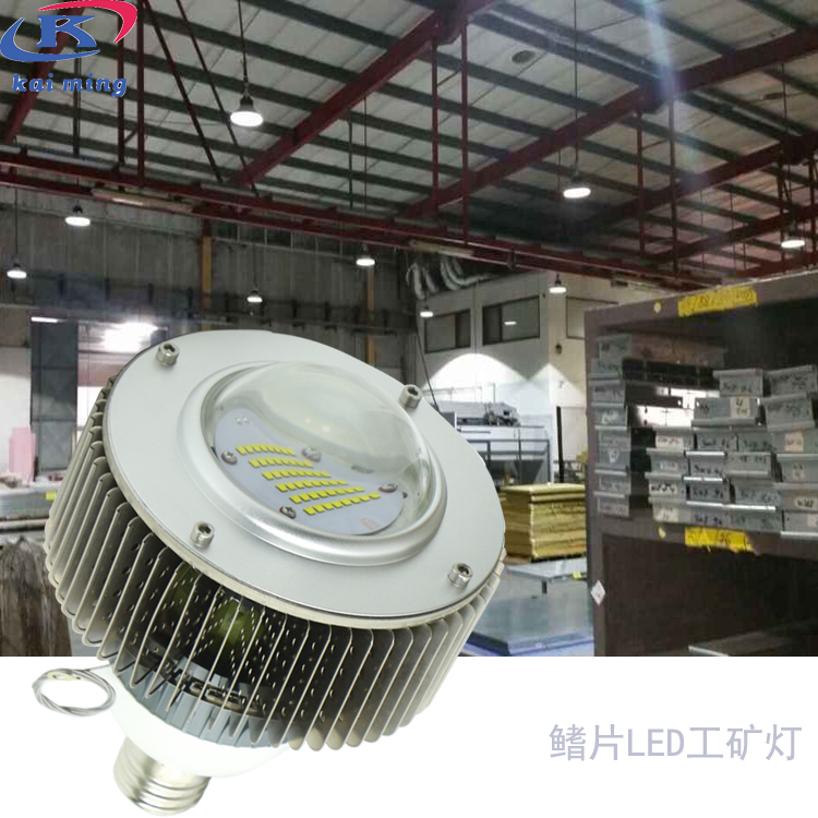 100WV E40V LEDV