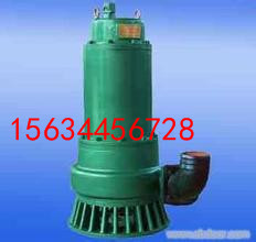 BQS40-130/2-37/NVøɳˮ늱