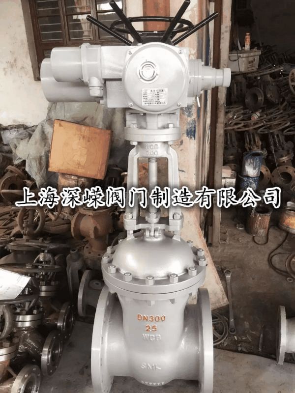 _P늄lyZ941H-25CT늄lyϺVyT