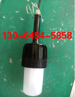 FW6320LEDП AC36V