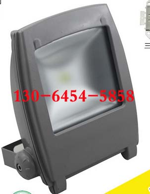 LHF2178LEDͶ ѣ