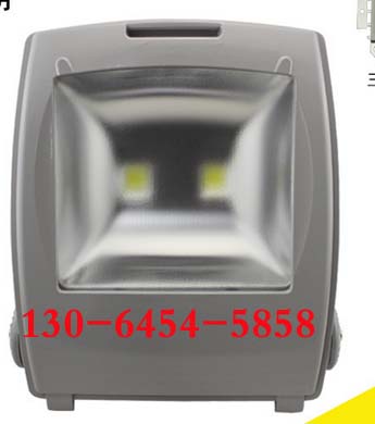 CYGF539̑BLED 80W