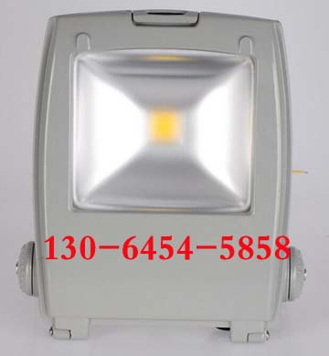 LEDCYGF539 120W