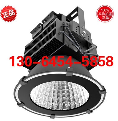 LEDRWX8829 100W
