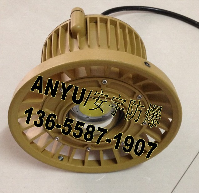 LEDڟBLD-50W/220V So