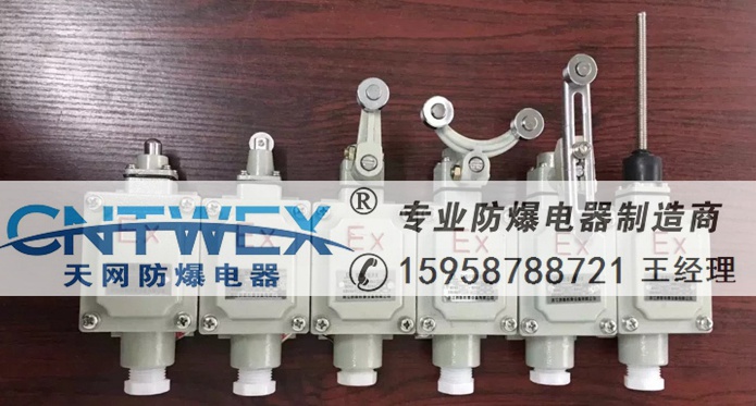 8077-1г_P IIC г_P _P